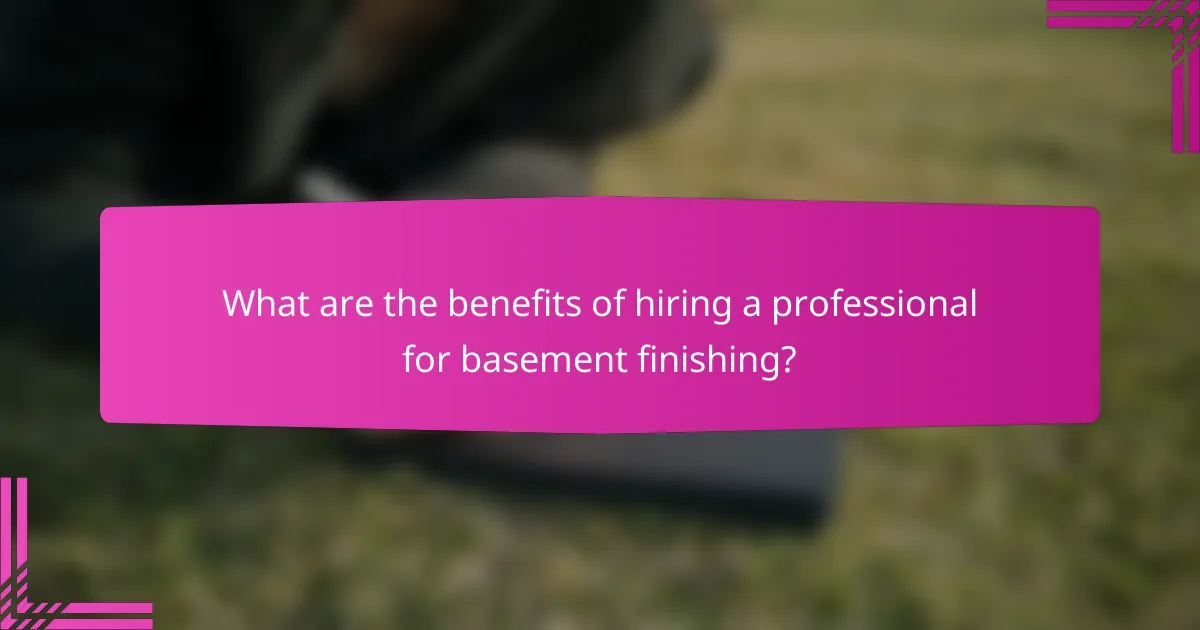 What are the benefits of hiring a professional for basement finishing?